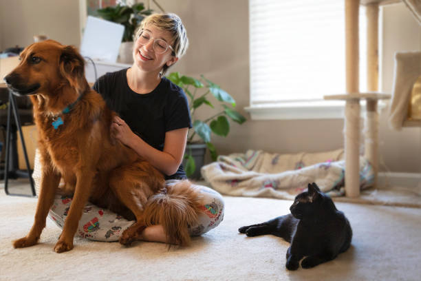 istock Morning pets at home 1320688148
