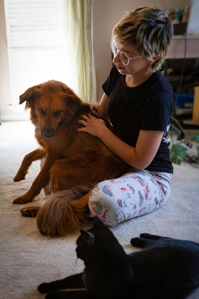 istock Morning pets at home 1320688156