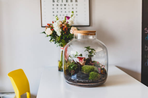 A forest in glass in the company of cut flowers on the table in front of a Scandinavian poster. Minimalist interior Terrarium with plants - ginseng ficus, miniature house, miniature world. Amazing jar with piece of forest as new life concept, terrarium, forest in a jar terrarium stock pictures, royalty-free photos & images