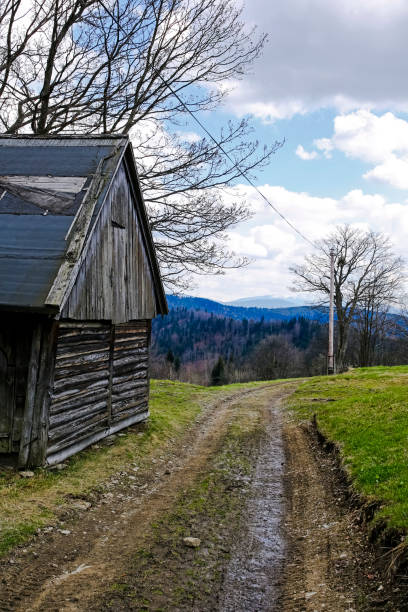 Old wooden hut in spring High Tatras mountains in Kalatowki meadow, Zakopane, Poland. Crocus flowers on a foreground. Landscape photography