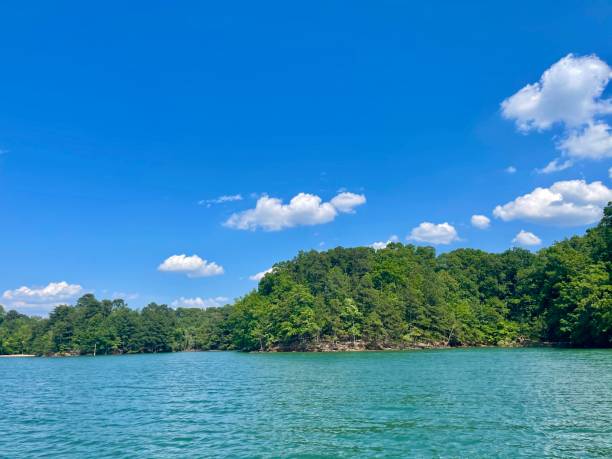 istock Lake Lanier on a beautiful day! 1320697960