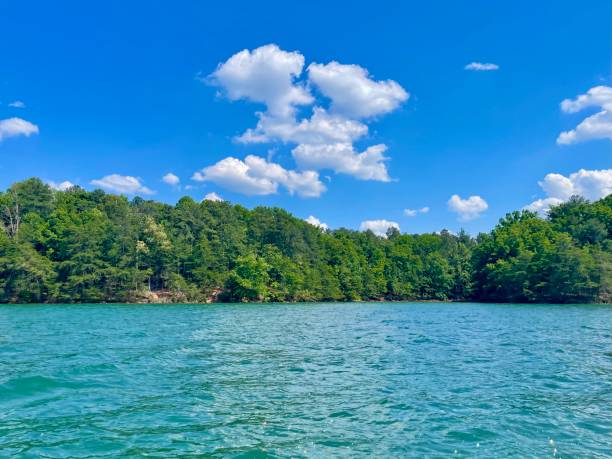 istock Lake Lanier on a beautiful day! 1320697990