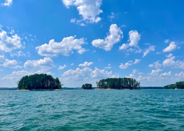 istock Lake Lanier on a beautiful day! 1320698019