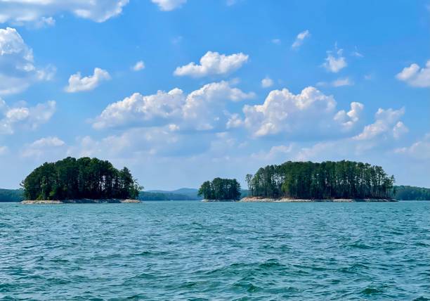 istock Lake Lanier on a beautiful day! 1320698020