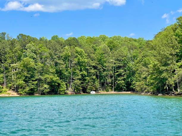 Lake Lanier on a beautiful day!