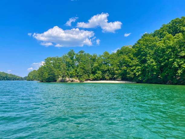 istock Lake Lanier on a beautiful day! 1320698041