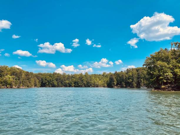 istock Lake Lanier on a beautiful day! 1320698050