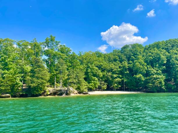 istock Lake Lanier on a beautiful day! 1320698056