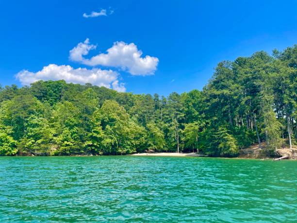 istock Lake Lanier on a beautiful day! 1320698073