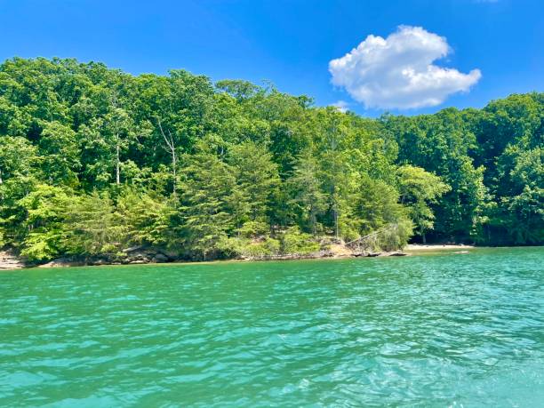 istock Lake Lanier on a beautiful day! 1320698083