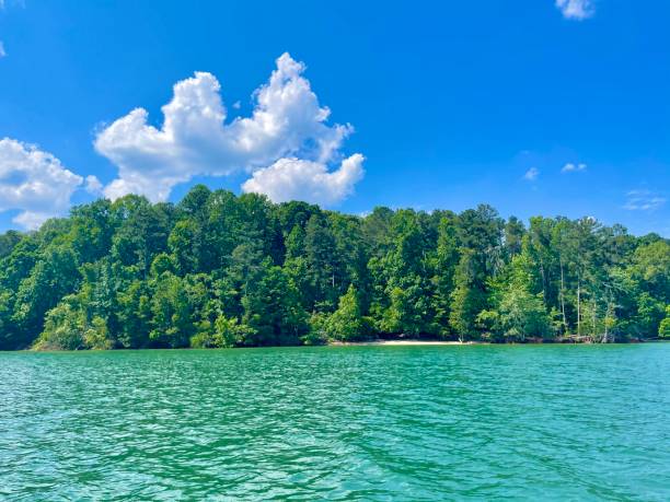 istock Lake Lanier on a beautiful day! 1320698086