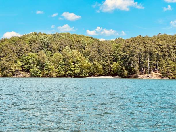 istock Lake Lanier on a beautiful day! 1320698094