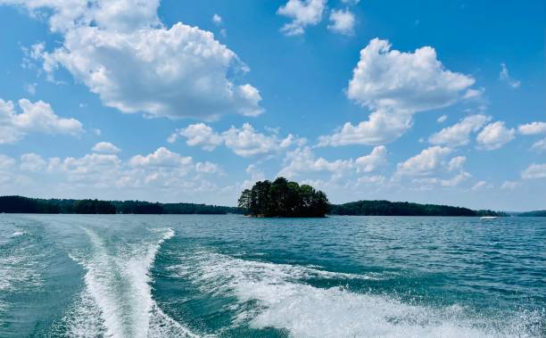 istock Lake Lanier on a beautiful day! 1320698122