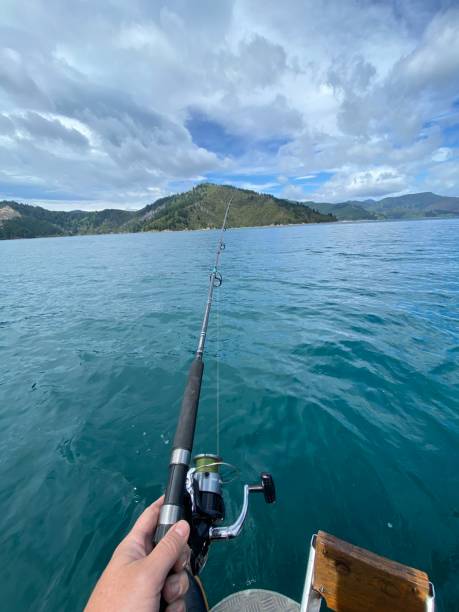 istock Fishing in the Tory Channel 1320702824