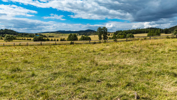 istock Beautiful panorama of trees bushes and fields in Walbrzych mountains 1320704914