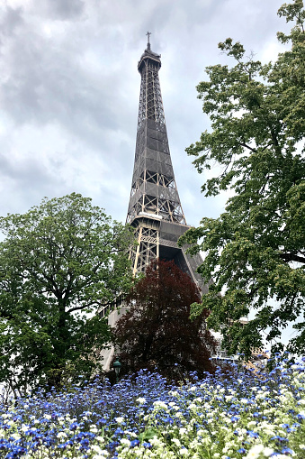 Spring in Paris : Tour Eiffel with forget-me-not. Paris in France. May 2, 2021