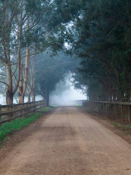 istock Foggy road in the morning 1320710721