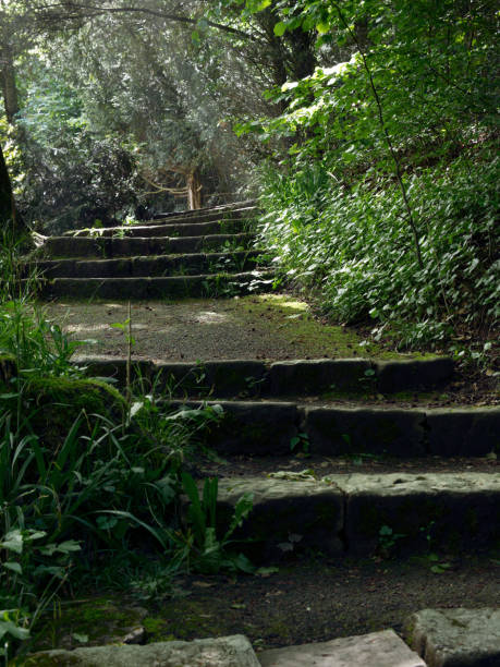 istock Old natural stone stairs 1320710797