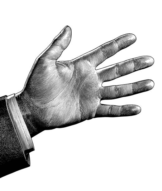 ilustraciones, imágenes clip art, dibujos animados e iconos de stock de mano del hombre - human hand white background men studio shot