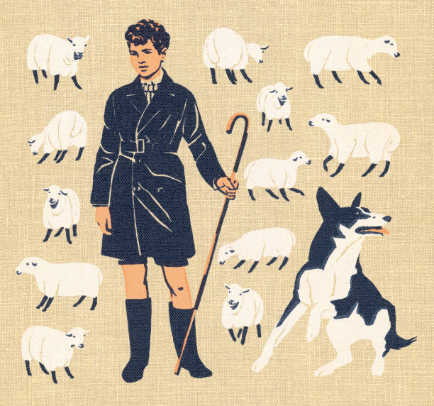 ilustraciones, imágenes clip art, dibujos animados e iconos de stock de boy tending ovejas con perro - textured effect illustrations