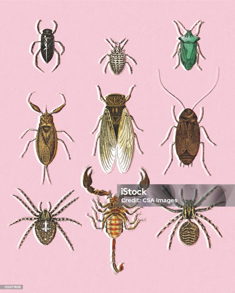 전갈, 다양한 곤충 - 로열티 프리 0명 스톡 일러스트