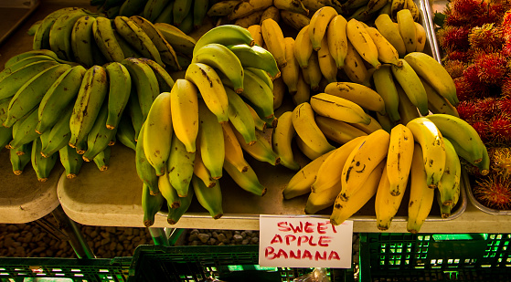 fresh bananas at a farmers market in Hilo Hawaii