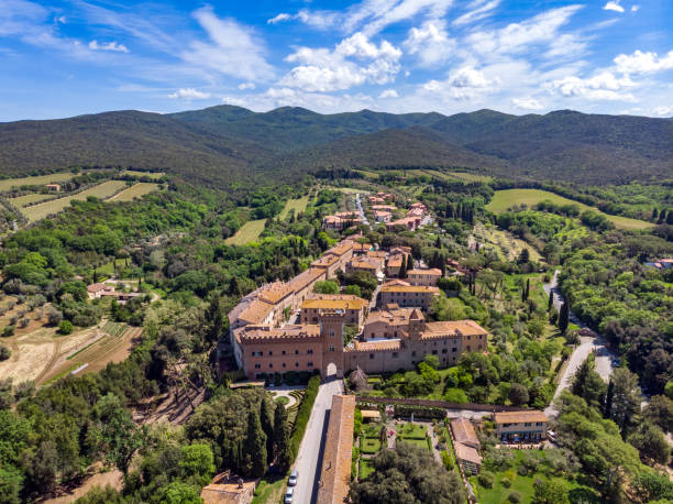 istock Bolgheri tuscan town from drone 1320721337