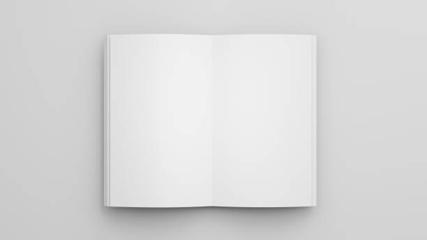 istock 3d render of white book for your mockup design 1320721453