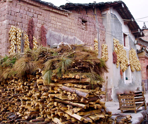 Corn, Hot Pepper, and Wood Stores in Chinese Village Da Yizi, Yuxi Yunnan China- November 9, 2004:  A rural village in China showing hanging dried corn and hot peppers, set behind a stacked woodpile. yunnan province stock pictures, royalty-free photos & images