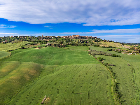 Drone view of Pienza countryside in tuscany with green wheat hills  and fields