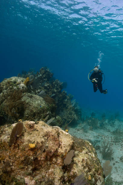 istock Scuba diver at the safety stop 1320723873