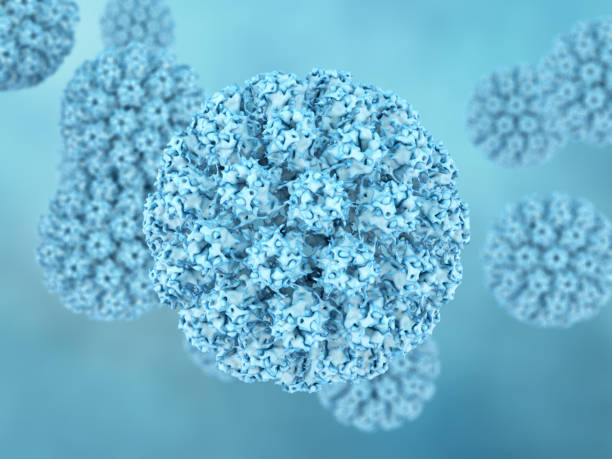 istock Human Papilloma Type 16 examined by electron cryomicroscopy 1320724756