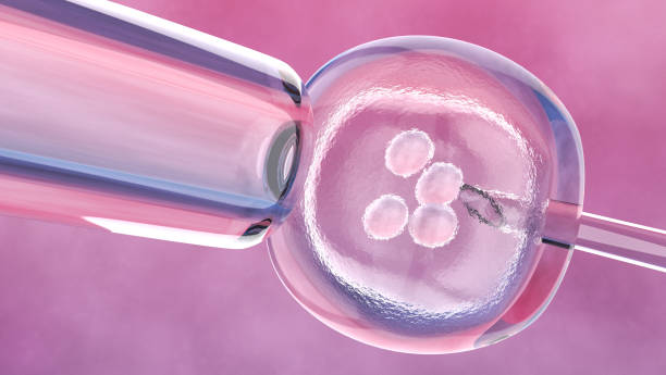 istock Microscopic View of Embryonic Cell and Needle 1320725612