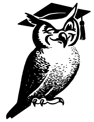 Wise Owl Wearing Mortarboard