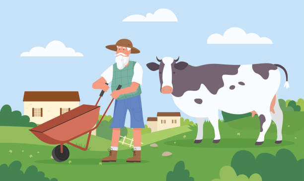 illustrations, cliparts, dessins animés et icônes de agriculteur âgé travaillant dans un champ agricole, travail agricole, éleveur âgé tenant une brouette - éleveur