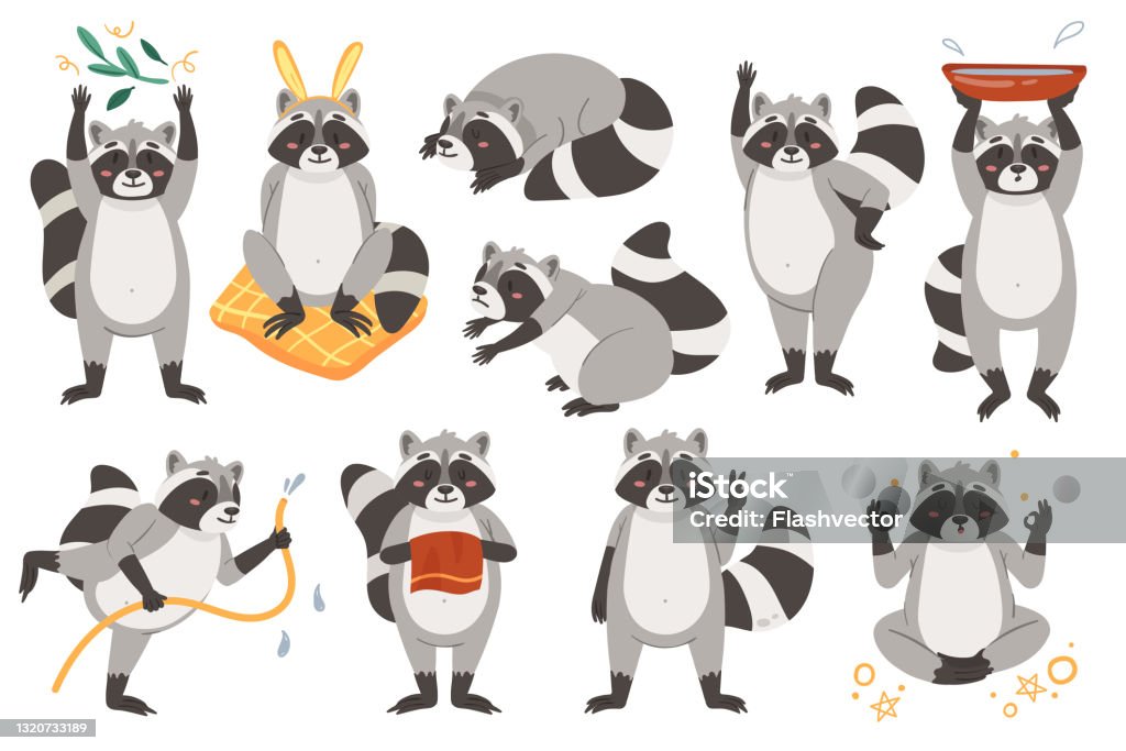 Raccoons Cute Animal Set Funny Racoon In Different Adorable Poses Childish  Collection Stock Illustration - Download Image Now - iStock