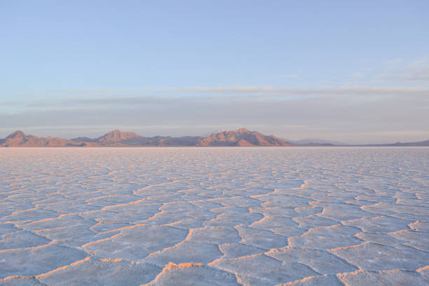istock Orange Reflections on the Salt Flats 1320733265