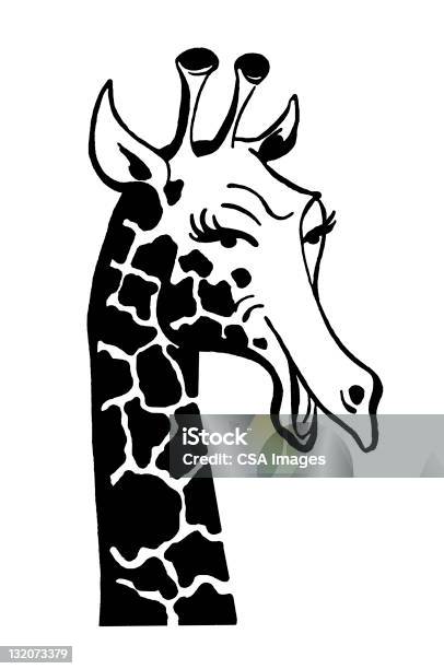Giraffe Stock Illustration - Download Image Now - Animal Body Part, Animal Head, Animal Themes