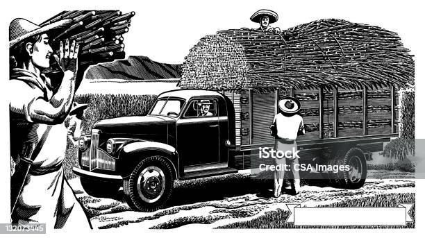 Mężczyźni Ładowanie Trzciny Cukrowej - Stockowe grafiki wektorowe i więcej obrazów Trzcina cukrowa - Trzcina cukrowa, Robotnik rolny, Transport samochodowy