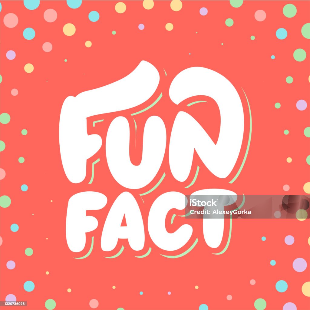 Fact Lettering Picture Fun Fact Vector Handwritten Lettering Banner Stock Illustration ...