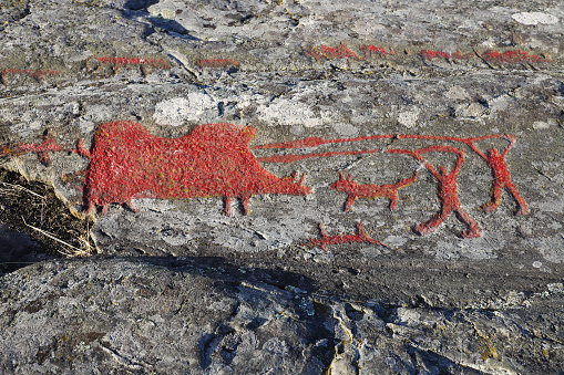 Rock carvings from the bronze age with a scene where two men with dogs and spears hunting a huge wild boar. One of the dogs is dead. The carvings are located i Norrkoping, Sweden.