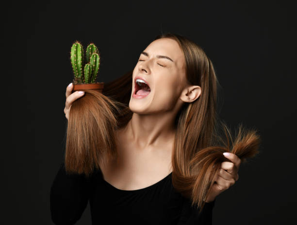 spanikowana krzycząca kobieta z długimi jedwabistymi prostymi włosami porównuje rozdwajające się końce włosów z rośliną kaktusa w doniczce, którą trzyma - moisturizer women cosmetics body zdjęcia i obrazy z banku zdjęć