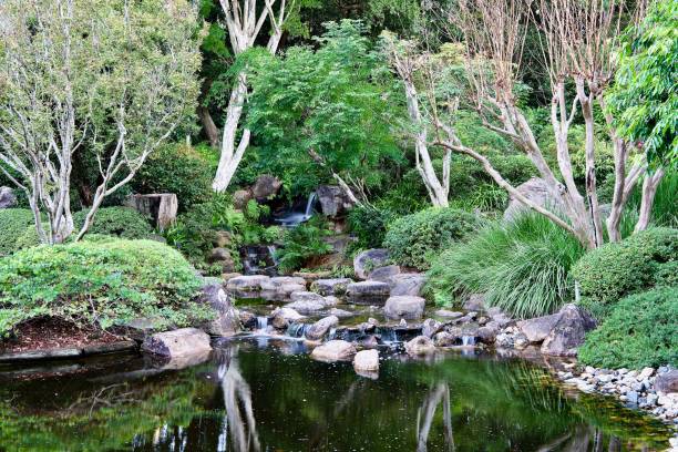 istock Japanese Garden Waterfall View 1 1320739596