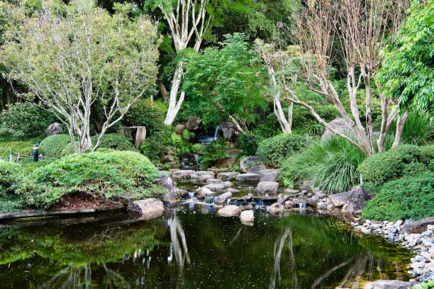 istock Japanese Garden Waterfall View 2 1320739624