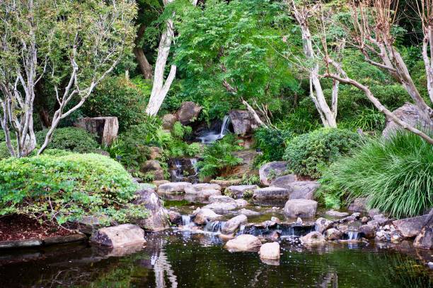 istock Japanese Garden Waterfall Close View 1 1320739702