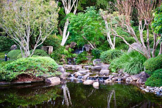 istock Japanese Garden Waterfall Close View 2 1320739768