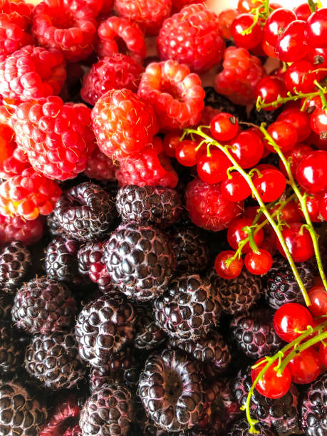 istock Stock Foto Summer berries - red currant, raspberry, blackberry 1320740602