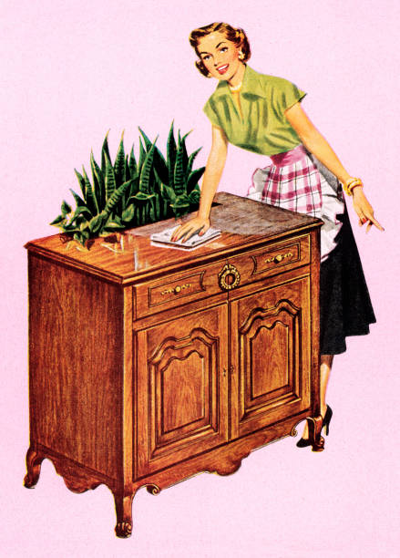 bildbanksillustrationer, clip art samt tecknat material och ikoner med woman dusting - hemmavarande förälder