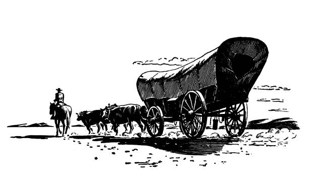 conestoga wagon - four animals illustrations stock illustrations