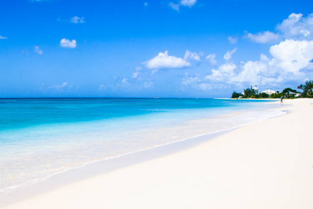 istock Barbados Beach and Port 1320747234